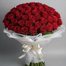 Букет 101 Красная роза Блэк Мэджик в Буланаше