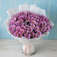 Букет цветов из:  Хризантемы в Буланаше