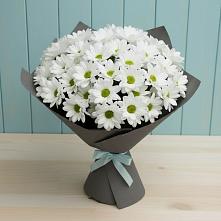 Букет цветов из:  Хризантемы в Буланаше