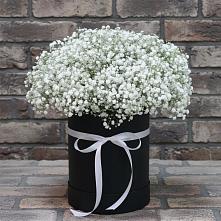 Цветочная композиция из Гипсофила в шляпной коробке #REPLACE_PRED# Буланаше