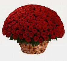 Премиум букет из: Розы в Буланаше