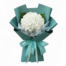 Букет цветов из:  Гортензия в Буланаше